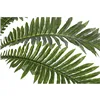 Decorative Plant Home ESPRIT PVC Fern 80 x 80 x 60 cm