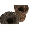 Decorative Figure Home ESPRIT Black Dark brown Single part