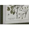 Painting Home ESPRIT Crystal Fir 30 x 2,5 x 40 cm (4 Units)