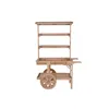 Garden Cart Home ESPRIT Natural 108 x 53 x 167 cm