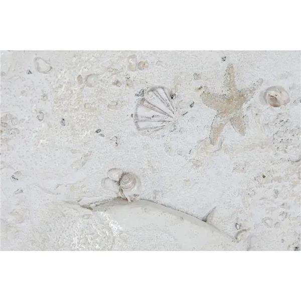 Canvas Home ESPRIT Beige Mediterranean (2 Units)