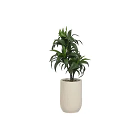 Decorative Plant Home ESPRIT Resin Polyethylene 50 x 50 x 102 cm