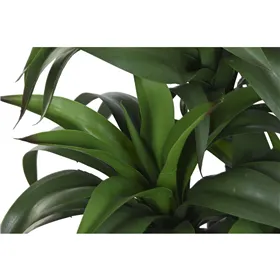 Decorative Plant Home ESPRIT Resin Polyethylene 50 x 50 x 102 cm