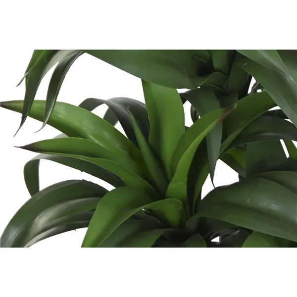 Decorative Plant Home ESPRIT Resin Polyethylene 50 x 50 x 102 cm