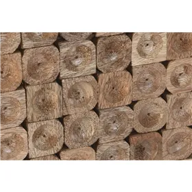 Электрический кухонный компостер Ewooster InnovaGoods