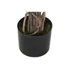 Tree Home ESPRIT Polyester polypropylene 80 x 80 x 150 cm