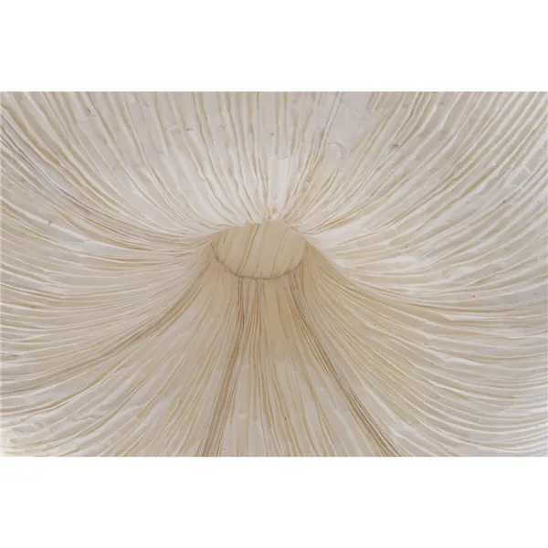 Ceiling Light Home ESPRIT Paper Steel 55,5 X 55,5 X 28 CM