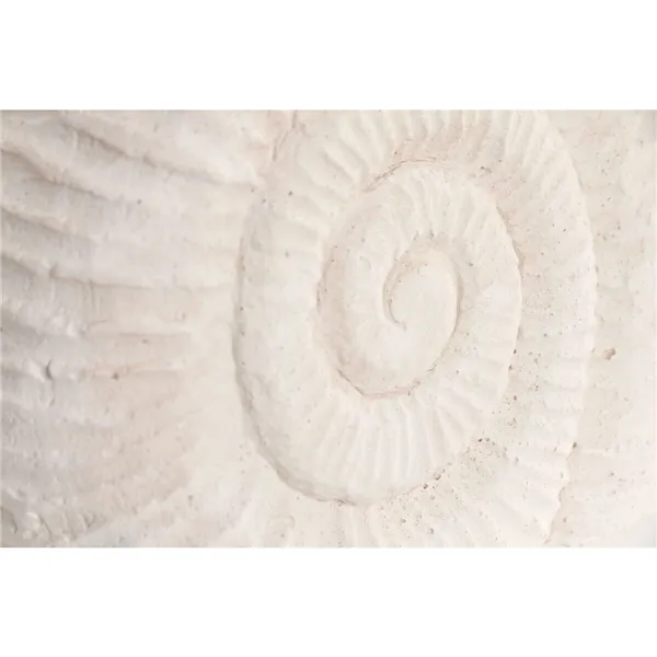 Decorative Figure Home ESPRIT White Stone Mediterranean Snail (2)