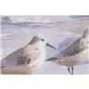 Canvas Home ESPRIT Beach Mediterranean With relief 80 x 2,5 x 60 cm (2 Units)