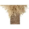 Decorative Figure Home ESPRIT Natural Tropical Palm tree