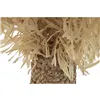 Decorative Figure Home ESPRIT Natural Tropical Palm tree