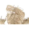 Decorative Figure Home ESPRIT Natural Tropical Palm tree