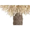 Decorative Figure Home ESPRIT Natural Tropical Palm tree
