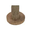 Decorative Figure Home ESPRIT Natural Tree Tropical