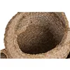 Basket set Home ESPRIT Natural Jute Seagrass (2 Pieces)