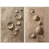 Canvas Home ESPRIT Terracotta Modern 82,5 x 4,5 x 122,5 cm (2 Units)
