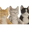 Decorative Figure Home ESPRIT Multicolour Cats (3 Units)
