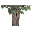 Tree Home ESPRIT Polyester Wood Bengal fig