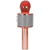 Mikrofonimänguasi Springos KG0029