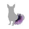 Koera kostüüm Suurus L Tutu