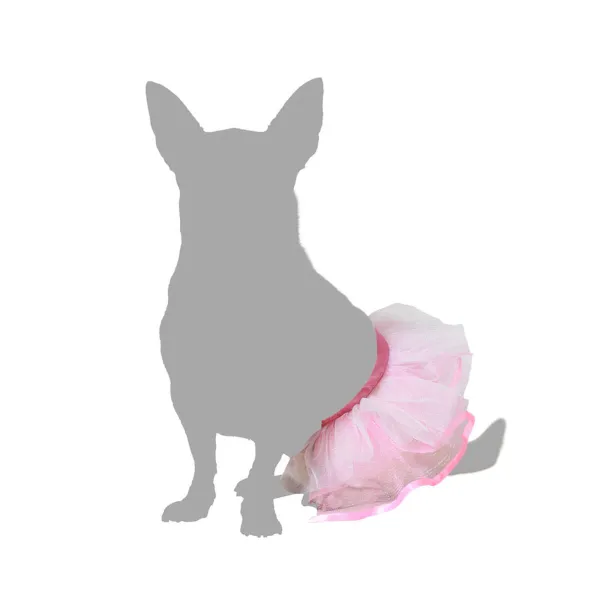 Koera kostüüm Suurus L Tutu