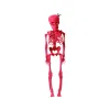 Halloween Decorations 40 cm Pink Skeleton