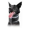 Cervical Collar for Dogs KVP Black (18-53 cm)