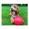 Dog toy Company of Animals Boomer Blue (200mm)