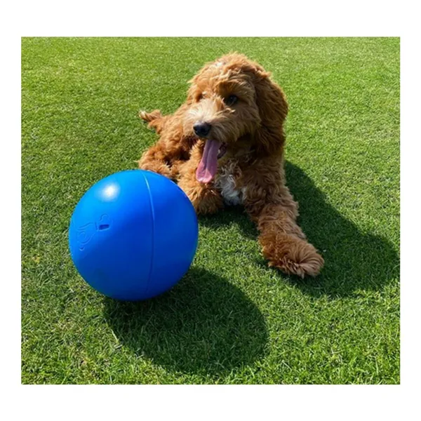 Dog toy Company of Animals Boomer Polyethylene 250mm