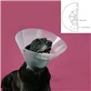 Elizabethan Dog Collar KVP Betsy Transparent (63-78 cm)