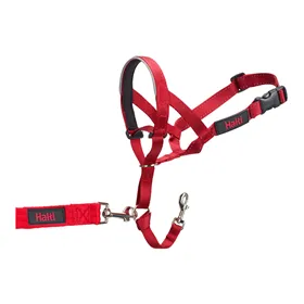 Laido rankena Piher 30910 Reguliuojamas 3 cm