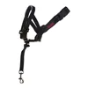 Dog Training Collars Company of Animals Halti Black Muzzle (35-48 cm)