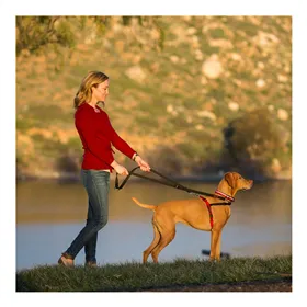 Dog Harness Company of Animals Halti Black/Red L (80-120 cm)