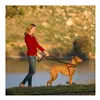 Dog Harness Company of Animals Halti Black/Red L (80-120 cm)