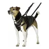 Dog Harness Company of Animals Halti Size S (26-36 cm)