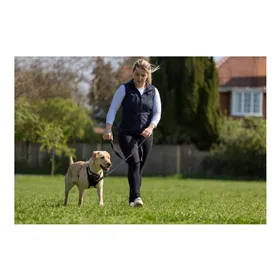 Dog raincoat Trixie Grey XS