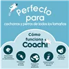 Multi-Clicker Coachi