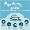 Whistle Coachi
