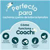 Whistle Coachi Blue