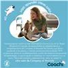 Training toy Coachi Blue