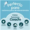 Training toy Coachi Blue