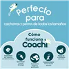 Training lead Coachi Blue Training