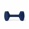 Training toy Coachi TRAINING DUMBBELL Blue