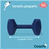 Training toy Coachi TRAINING DUMBBELL Blue