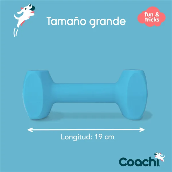 Training toy Coachi TRAINING DUMBBELL Blue