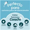 Training toy Coachi