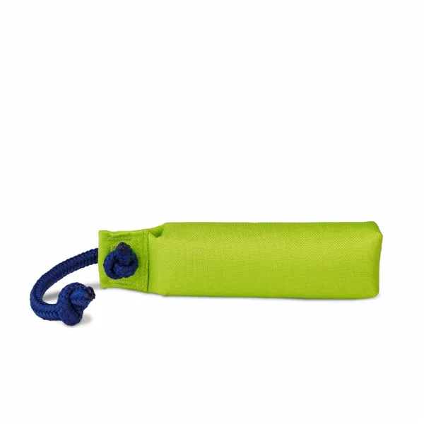 Training toy Coachi