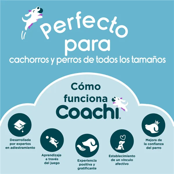 Training toy Coachi TUGGI TUG Blue