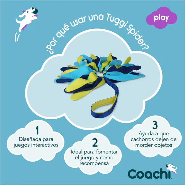 Training toy Coachi TUGGI SPIDER Blue