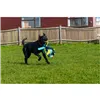 Training toy Coachi TUGGI SPIDER Blue